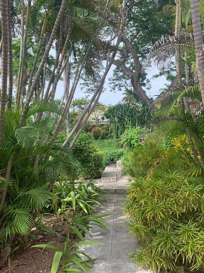 Guango Grove Cozy Corner Lejlighed Montego Bay Jamaica